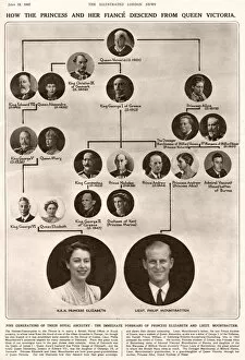 Images Dated 26th January 2011: Royal Wedding 1947 - family tree