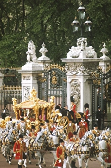 Wedding of Charles and Diana Collection: Royal wedding 1981
