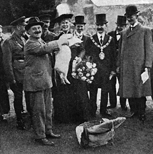 Grown Prints: Royal WW1 allotment visit, 1918: Queen Mary and piglet