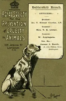 RSPCA. Cecil Aldin. 1908. jpg