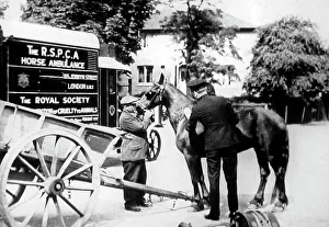 An RSPCA horse ambulance, London