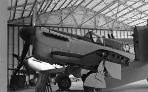 Firefly Prints: RTAF Museum - Firefly I - J4-11 / 94