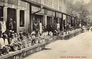Rubber Prints: Rubber Factory workers, Ceylon (Sri Lanka)