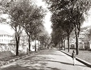 Nationale Prints: Rue Nationale, Siagon, Indo-China, Vietnam, circa 1890