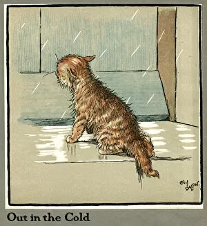 Rufus Gallery: Rufus the cat out in the cold and rain