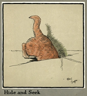 Rufus Gallery: Rufus the cat explores the mousehole