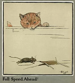 Rufus Gallery: Rufus the cat watches a mouse