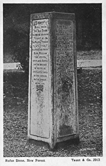 Accidental Gallery: Rufus Stone, New Forest, Hampshire