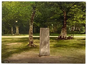 Rufus Prints: Rufus Stone, New Forest, Winchester, England