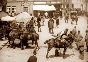 Rugeley Horse Fair