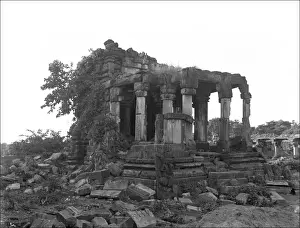 Over Grown Prints: Ruined building in India