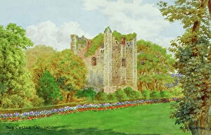 Guildford Collection: Ruined castle, Guildford, Surrey