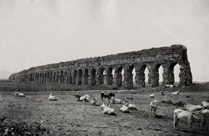 Viaduct Prints: Ruins of an ancient Roman aquaduct, near Rome Italy