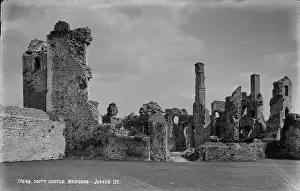 Preservation Prints: Ruins of Coity Castle