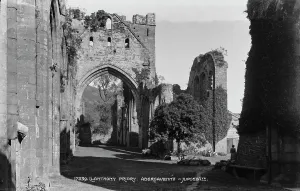Greenery Prints: Ruins of Llanthony Priory