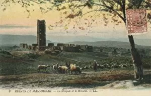 Mosque Collection: The Ruins of Mansoura - Algeria