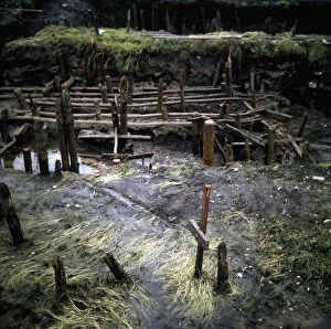 Stilt Collection: Ruins of a prehistoric house built on stilts. Italy