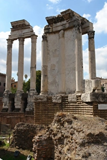 Images Dated 8th October 2008: Ruins in Roman Forum, Rome, Italy