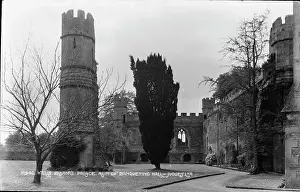 Grassy Prints: Ruins of Wells Bishop's Palace