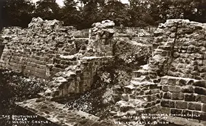 Suburb Prints: Ruins of Weoley Castle, Birmingham, West Midlands