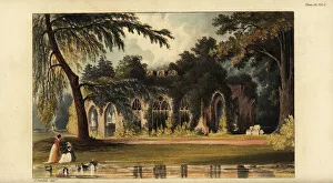 Repository Gallery: The Ruins, Windsor, a Gothic pile built by John Wyatt