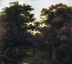 Ruisdael, Jacob van (1628-1682). Forest. 1657