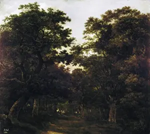Ruisdael, Jacob van (1628-1682). Forest. 1657