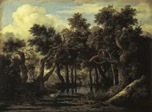 Marsh Prints: Ruisdael, Jacob van (1628-1682). The Marsh. Baroque
