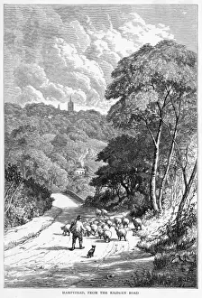 Rural Hampstead