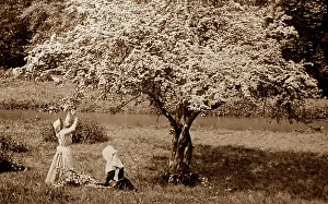 Idyll Prints: Rural idyll, apple blossom