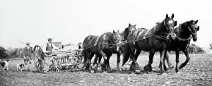 Rural idyll, England, Victorian period
