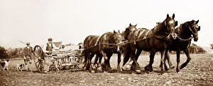 Rural idyll, England, Victorian period