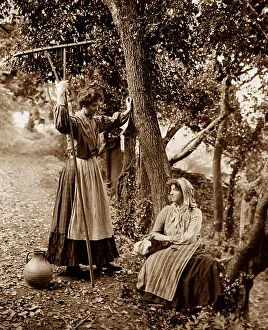 Rural life, Victorian period