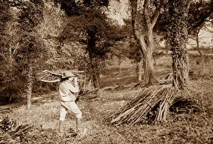 Rural life, Woodman Victorian period