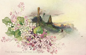 Rural Scene