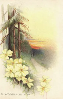Rural Scene