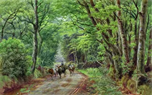 Rural scene with cattle, Hindhead, Surrey