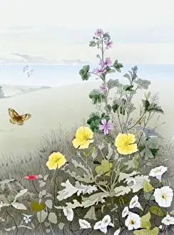 Rural scene with flowers and a butterfly