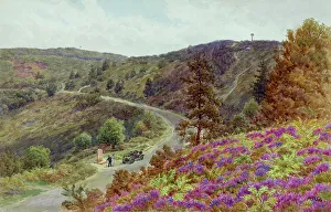 Hindhead Prints: Rural scene, Hindhead, Surrey