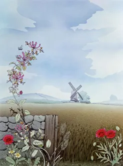 Corn Collection: Rural scene with honeysuckle and poppies