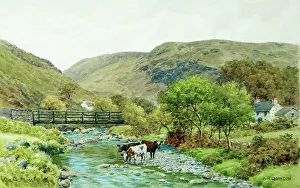 Rural scene, Isle of Man