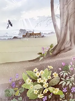 Primroses Prints: Rural scene with primroses