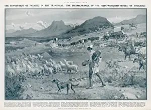 Veldt Prints: Rural Scene, South Africa