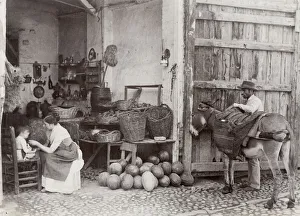 Rural scene in Spain, fruit stall, man and donkey