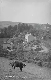 Pastoral Prints: Rural Scene in Stoke Gabriel