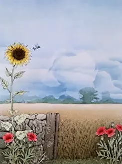 Rural scene with sunflower and poppies