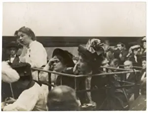 Flora Prints: RUSH TRIAL / 1908