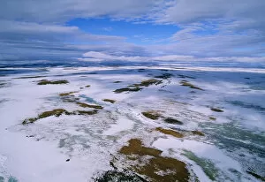 Frozen Gallery: RUSSIA - Arctic tundra, melting snows, tundra of