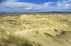 Alluvial Gallery: Russia - dunes of Tsuger-Als Sands: ancient alluvial