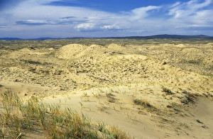 Alluvial Gallery: Russia - dunes of Tsuger-Als Sands: ancient alluvial